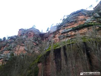 Daroca Salvaje_Gallocanta-Pinsapar de Orcajo; macizo central las medulas fotos refugio de poqueira m